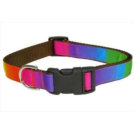Sassy Dog Wear Sassy Dog Wear RAINBOW4-C Dog Collar; Rainbow - Large RAINBOW4-C